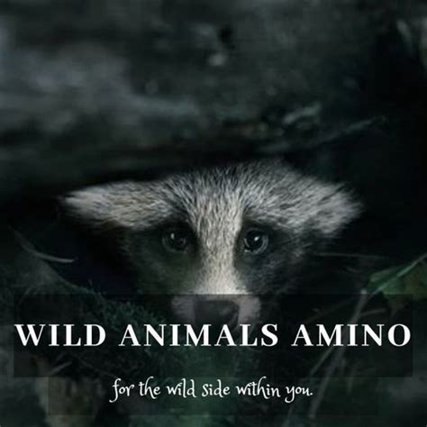 Featured Wild Animals Amino