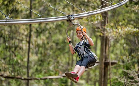 TreeTops Adventure Park Australia Tickets | [COVID-19 Updated]