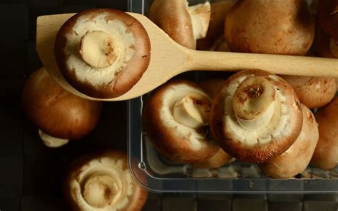 Comment Cuisiner Les Champignons De Paris Brun Les Carnets De Julie