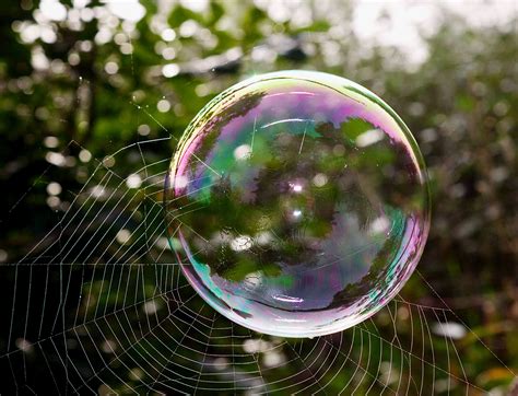 Soap bubble and spider web | Soap bubbles, Spider web, Bubbles