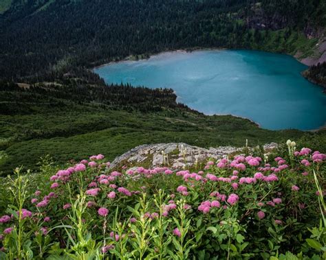 Many Glacier Guided Day Hike in Glacier National Park