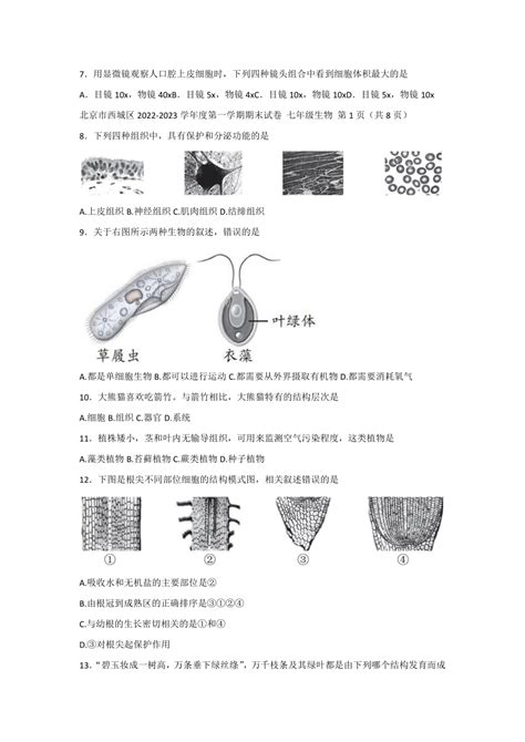 北京市西城区2022~2023学年第一学期七年级期末生物试卷（含答案） 21世纪教育网