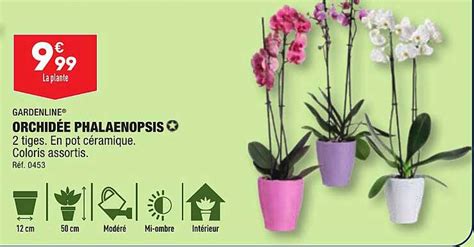 Promo Orchid E Phalaenopsis Gardenline Chez Aldi Icatalogue Fr