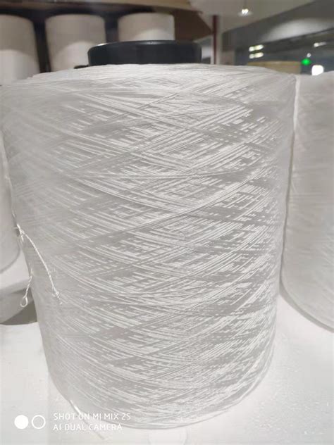 China Cheap Polypropylene Yarn D D High Tenacity Pp