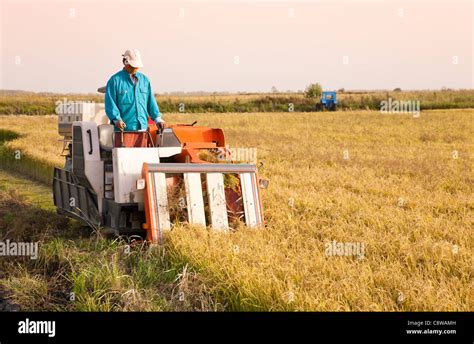 China Rice Combine Harvester Hi Res Stock Photography And Images Alamy