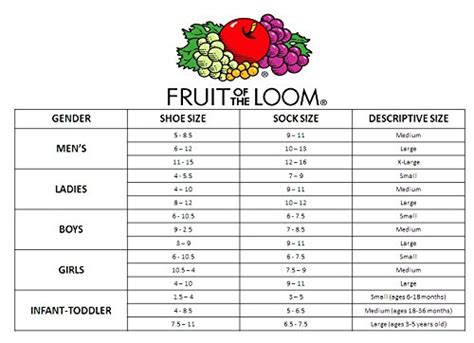 Fruit Of The Loom Sports Bra Size Chart - Chart Walls