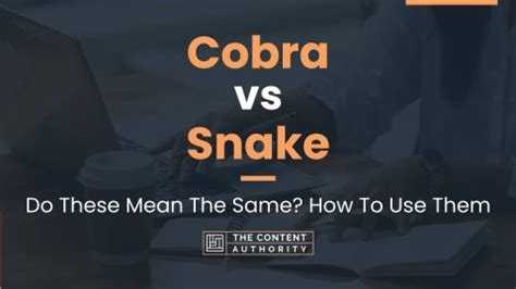 Cobra vs Snake: Do These Mean The Same? How To Use Them