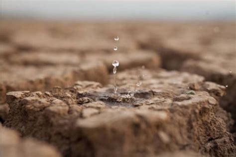 Embalses En Catalunya Hoy De Mayo Cu L Es El Nivel De Los Pantanos