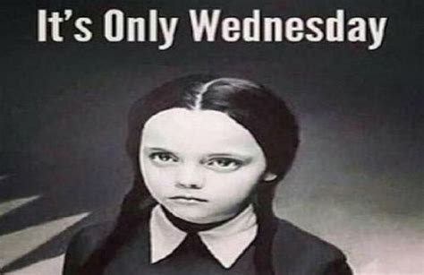 The 14 Perfect Wednesday Memes