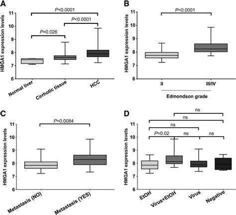 Hmga1 Mrna Expression Level Using Gene Expression Microarrays Boxplots