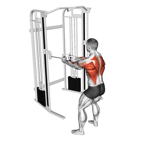 Close Grip T Bar Row