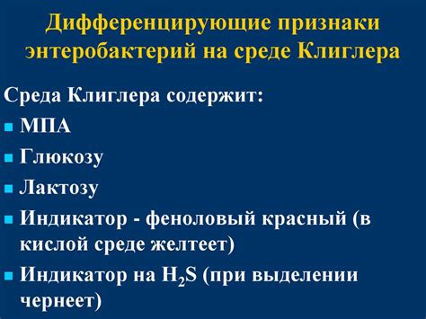 Семейство Еnterobacteriaceae - презентация онлайн