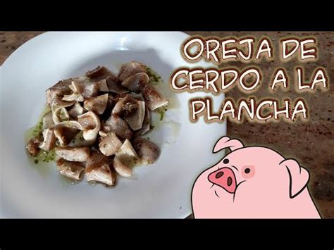 Tiempo De Cocción Oreja De Cerdo Mirlo blanco