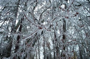 North Carolina Ice Storm of 2002 - Justinsomnia