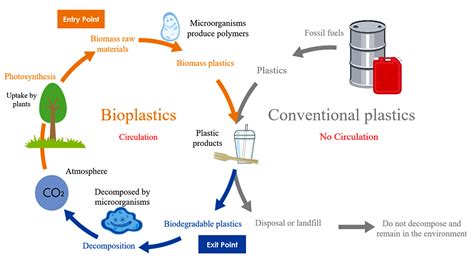 Breaking Down Plastics Bioplastics BioPlaster Research Inc