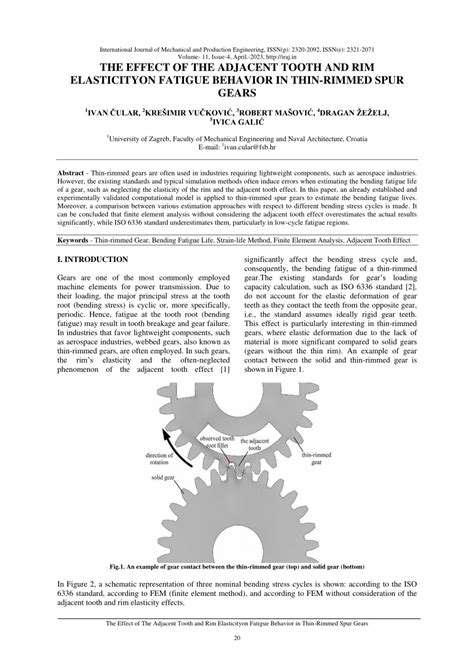 PDF The Effect Of The Adjacent Tooth And Rim Elasticity On Fatigue