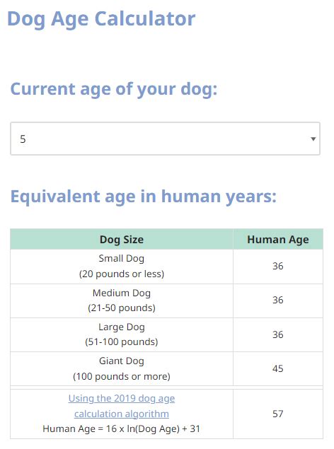 Dog Age Calculator Dog Age Vs Human Age Reemlab