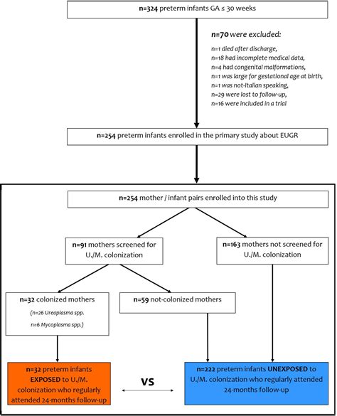 Frontiers Maternal Ureaplasma Mycoplasma Colonization During