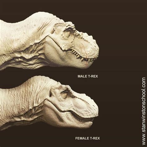 The Male And The Female T Rex Sculpture From Steven Spielberg S The