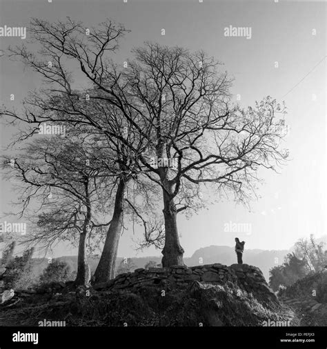 Nature In Vietnam Black And White Stock Photos And Images Alamy