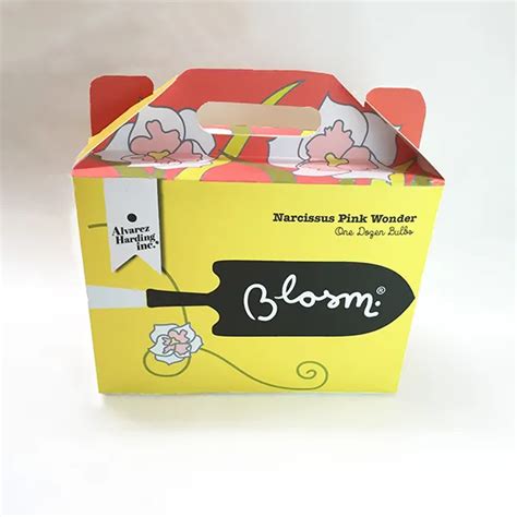 Appealing Large Gable Boxes Noah Packaging