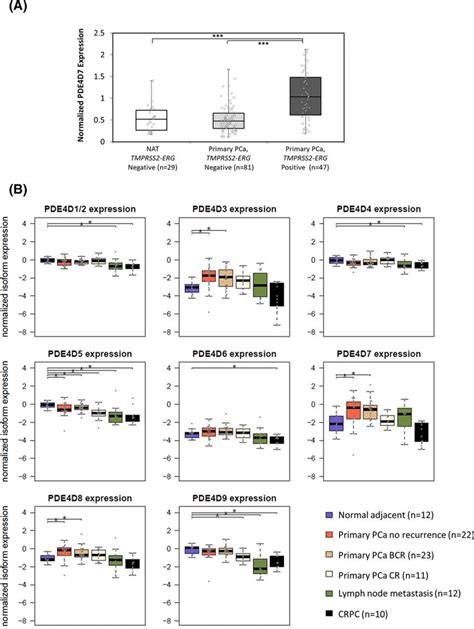 Pde D Expression And Tmprss Erg Gene Fusion Status A Correlation Of