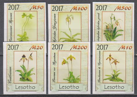 Lesotho Flore Non Dentel S De Monde Timbres Feuillets