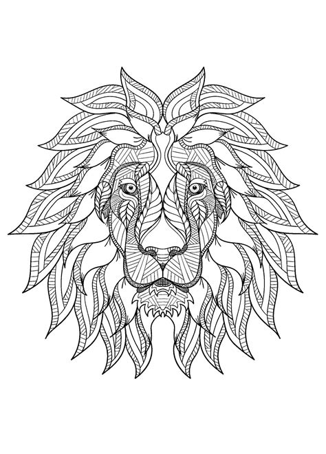 Lions Head From The Front Lion Coloring Pages For Kids