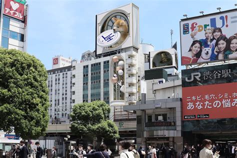 今度は秋田犬？ 渋谷交差点周辺の看板に巨大な3d犬が出現