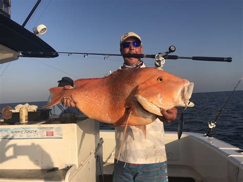 Cracking Red Emperor From The Great Barrier Reef R Fishing