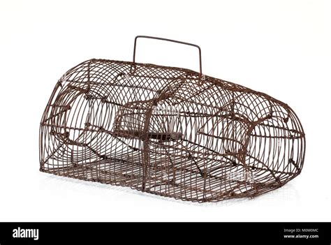 Old Vintage Rat Trap Cage Stock Photo - Alamy