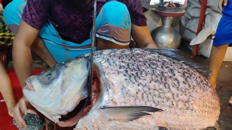 Amazing 15 Kg Giant Katla Fish Cutting Skills Live In Fish Market