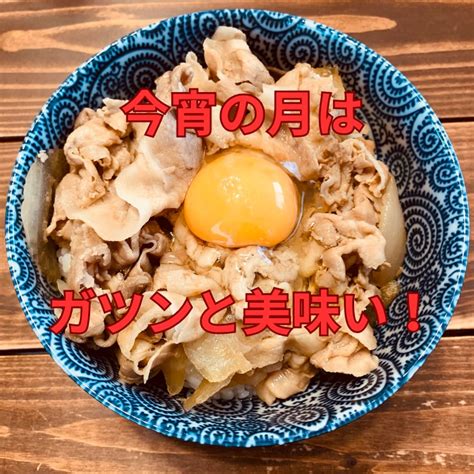 吉野家 豚丼の具10袋セット 吉野家 豚丼 冷凍食品 常備品