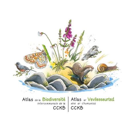 Atlas de la Biodiversité Intercommunale sur la CCKB RADIO KREIZ BREIZH