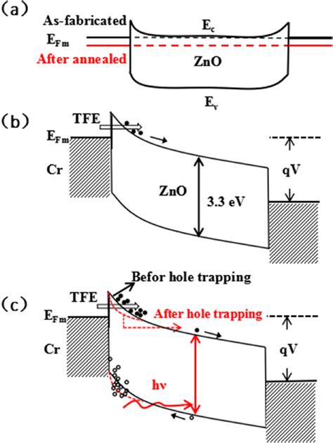 Schematic Diagram Of The Energy Band Of The Zno Msm Pd A With No