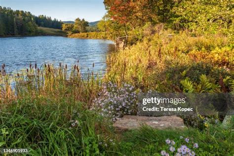 Long Pond Maine Photos And Premium High Res Pictures Getty Images