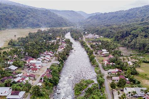 Foto Indahnya Hutan Beutong Yang Terancam Tambang Emas