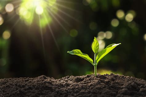 #studentviews: Should we really aim for ‘growth, growth and growth ...