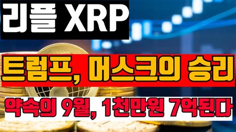 리플 트럼프와 머스크의 승리 약속의 9월 1천만원 7억원 된다 리플 Xrp Youtube