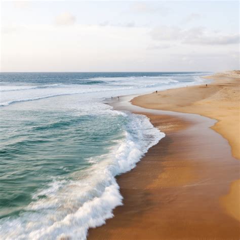 Les Landes les plus belles plages autorisées aux chiens