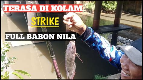 Umpan Gak Masuk Akal Tapi Strike Nila Semua Babon Youtube