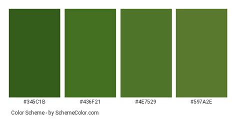 Grass Color Scheme Image