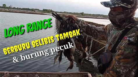 LONG RANGE BERBURU BELIBIS TAMBAK DAN BURUNG PECUK DI BULAN AGUSTUS