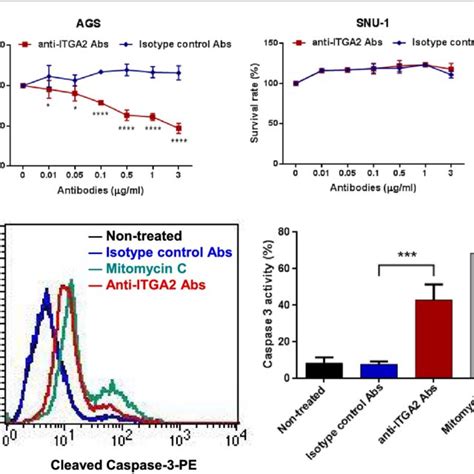 Pdf Blockade Of Itga2 Induces Apoptosis And Inhibits Cell Migration