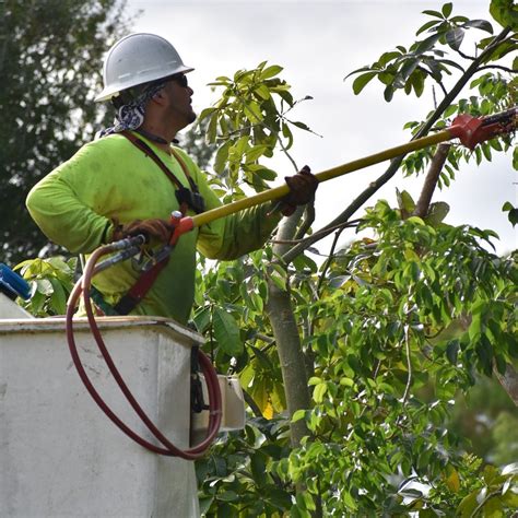 lcec  linkedin   electric distribution cooperative