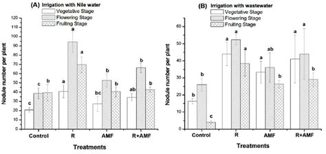 Effect Of R And Amf Inoculants On Number Of Nodules Per Faba Bean Plant