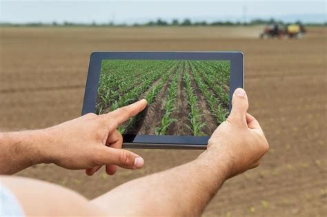 Agricultural Yield Prediction Using Deep Learning By Rsip Vision