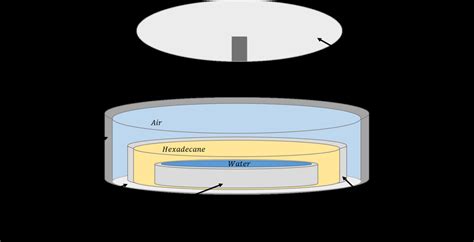 Figure S1 Schematic Illustration Of The Cell Download Scientific