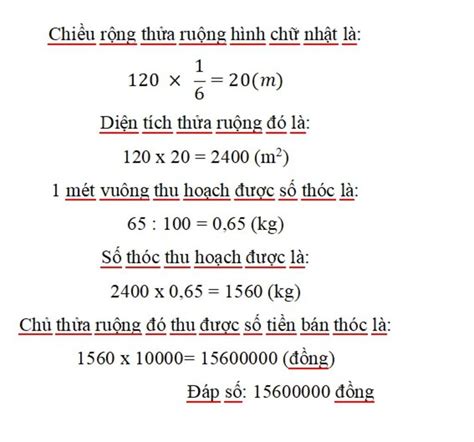 Một thửa ruộng hình chữ nhật có chiều dài 120m chiều rộng bằng 1 6