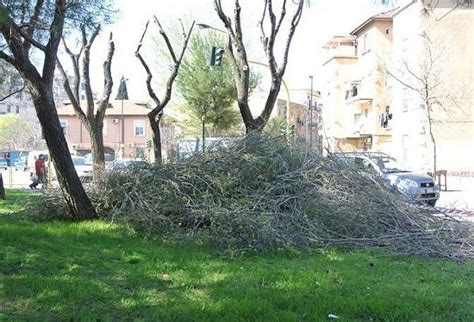 T U Ambiente In Vigore La Modifica Che Esclude Sfalci E Potature